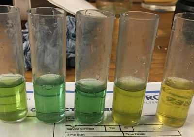 pH Testing
