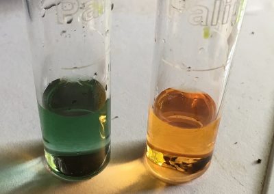 pH Testing