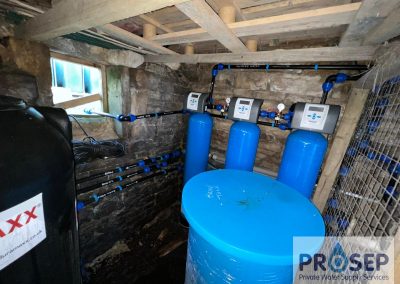 Spring Water System incorporating pH correction