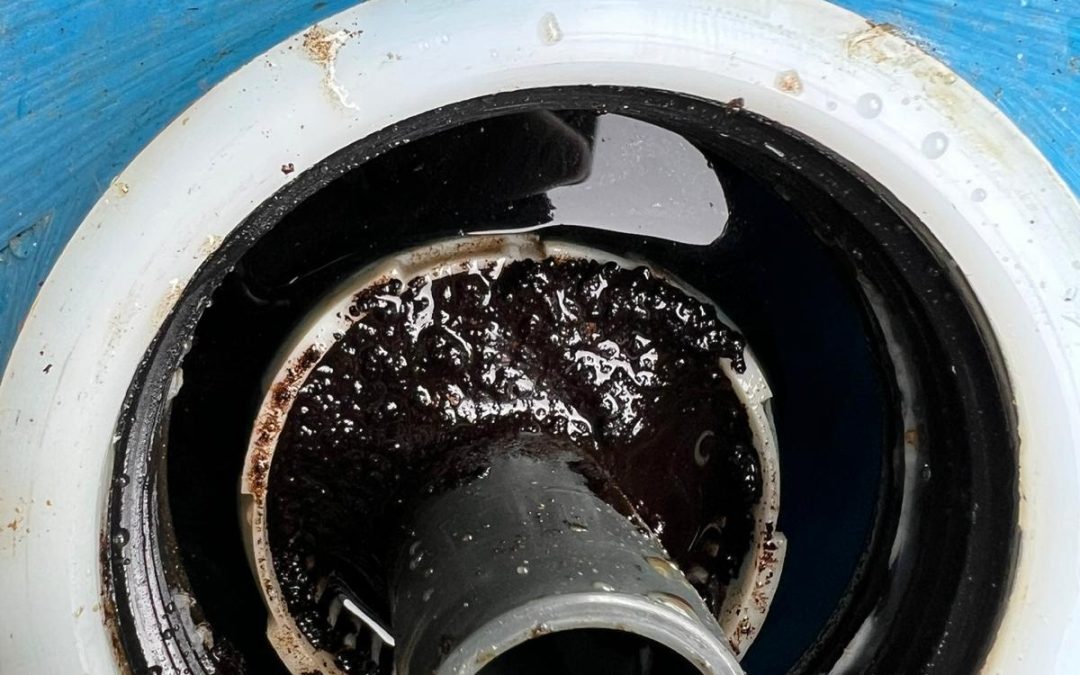 Spring Water Supply | System Service